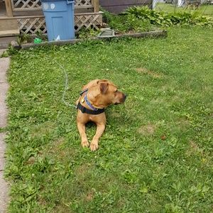 Meet your Posher, Kandi